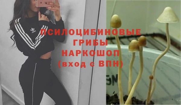 прущий лед Заводоуковск