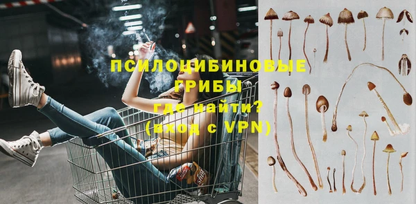 прущий лед Заводоуковск