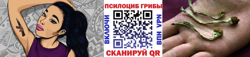 Галлюциногенные грибы прущие грибы  Рыбное 