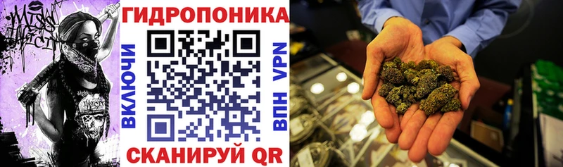 Конопля AK-47  Рыбное 